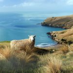 德信体育:引领中国体育产业发展的新力量 3sdljj