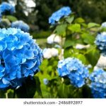 恒宝娱乐:探索多元化娱乐体验的全新平台 4yfx3