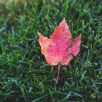 必赢亚洲最新网址更新指南:如何快速找到最新信息与资源 h9e30ifn