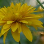 手机登录dafa888官网的步骤与注意事项详解 x6r4nehuc