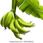 2006年开奖结果今日正式揭晓 049wrzt