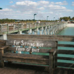 2009年福利彩票双色球全年开奖号码完整回顾 143zo7da