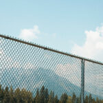 2008113期双色球开奖号码历史回顾与查询 1wll32ys8