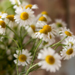 2007年3D彩票全年完整开奖数据全记录 5f5ydy6mrh