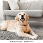 3D开奖后如何精准分析中奖号码走势 5z1fv0x