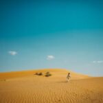 2009年3D彩票全年完整开奖结果历史数据汇总 fqneq72fwq