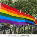 2006年全年3D开奖结果完整数据汇总 m7j9z