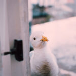 20075期开奖结果揭晓:幸运号码正式公布 p3p81